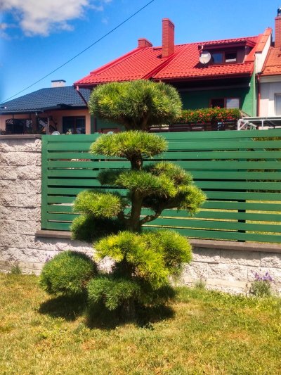 Wojsławickie Klimaty - galeria zdjęć